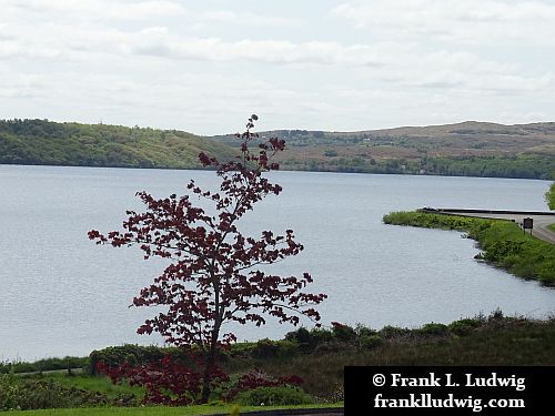 Lough Gill